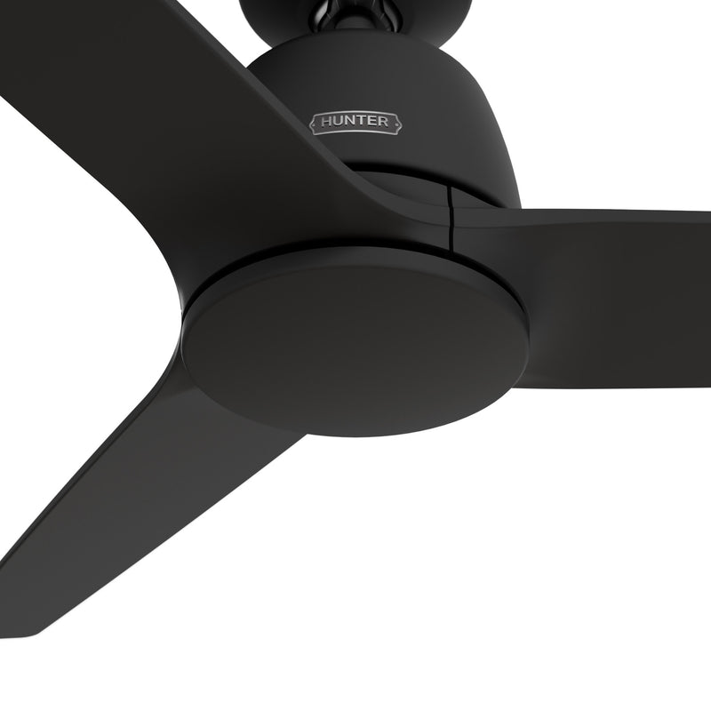 Hunter 52 inch Malden Matte Black Ceiling Fan and Handheld Remote - The Shop By Jasmine Roth