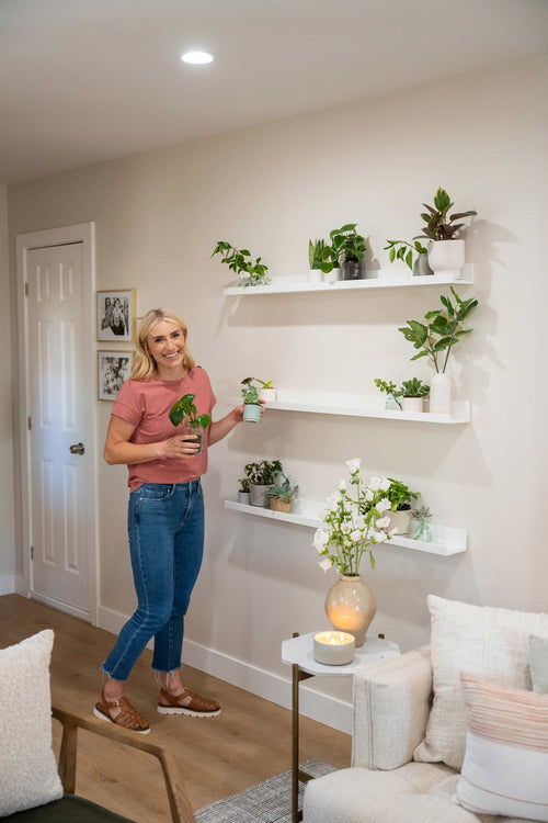 Help! I Wrecked My House, Season 3 Episode 4