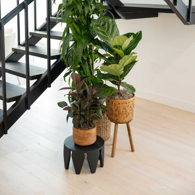 Finley planter by modern staircase
